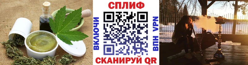 Canna-Cookies марихуана  Магас 