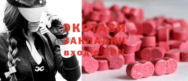 спиды Богородицк