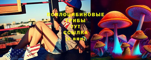 крисы Майский