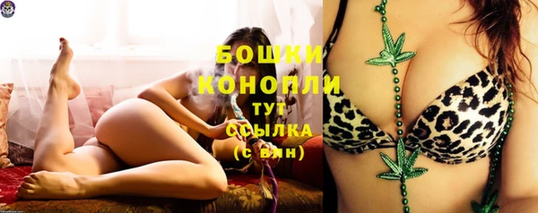 крисы Майский