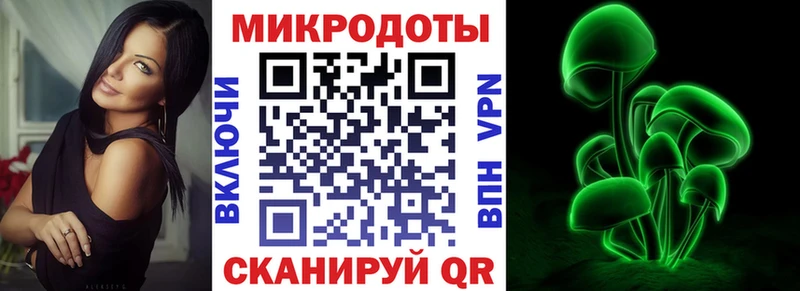 Галлюциногенные грибы Cubensis  купить наркотики сайты  Магас 